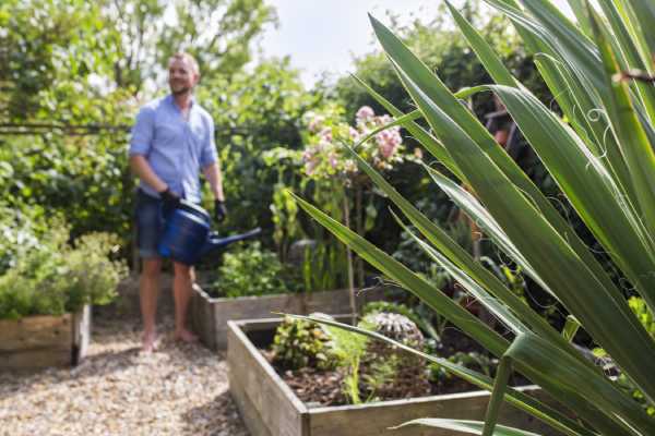 creation jardin potager arlon