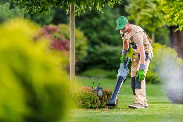 entretien jardin paysagiste