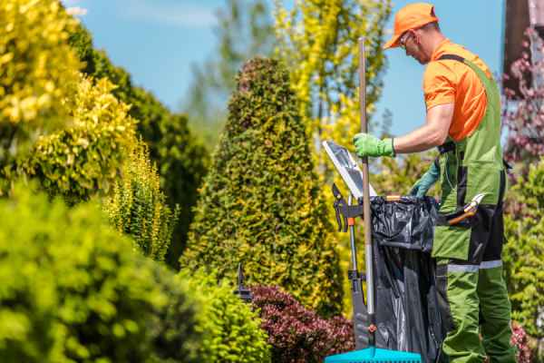 entretien jardinier paysagiste service