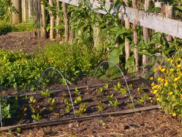 jardin et potager arlon