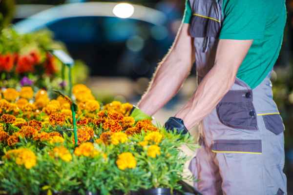 service d'aménagement jardin