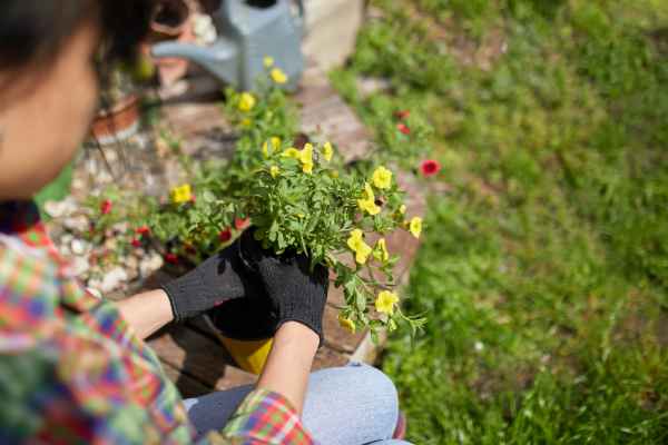 service de création jardin