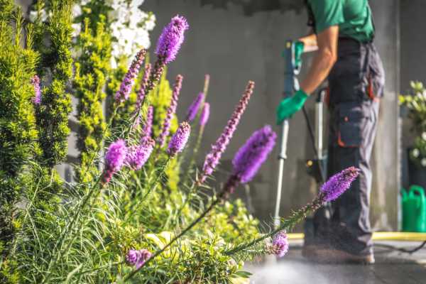 service de nettoyage de jardin